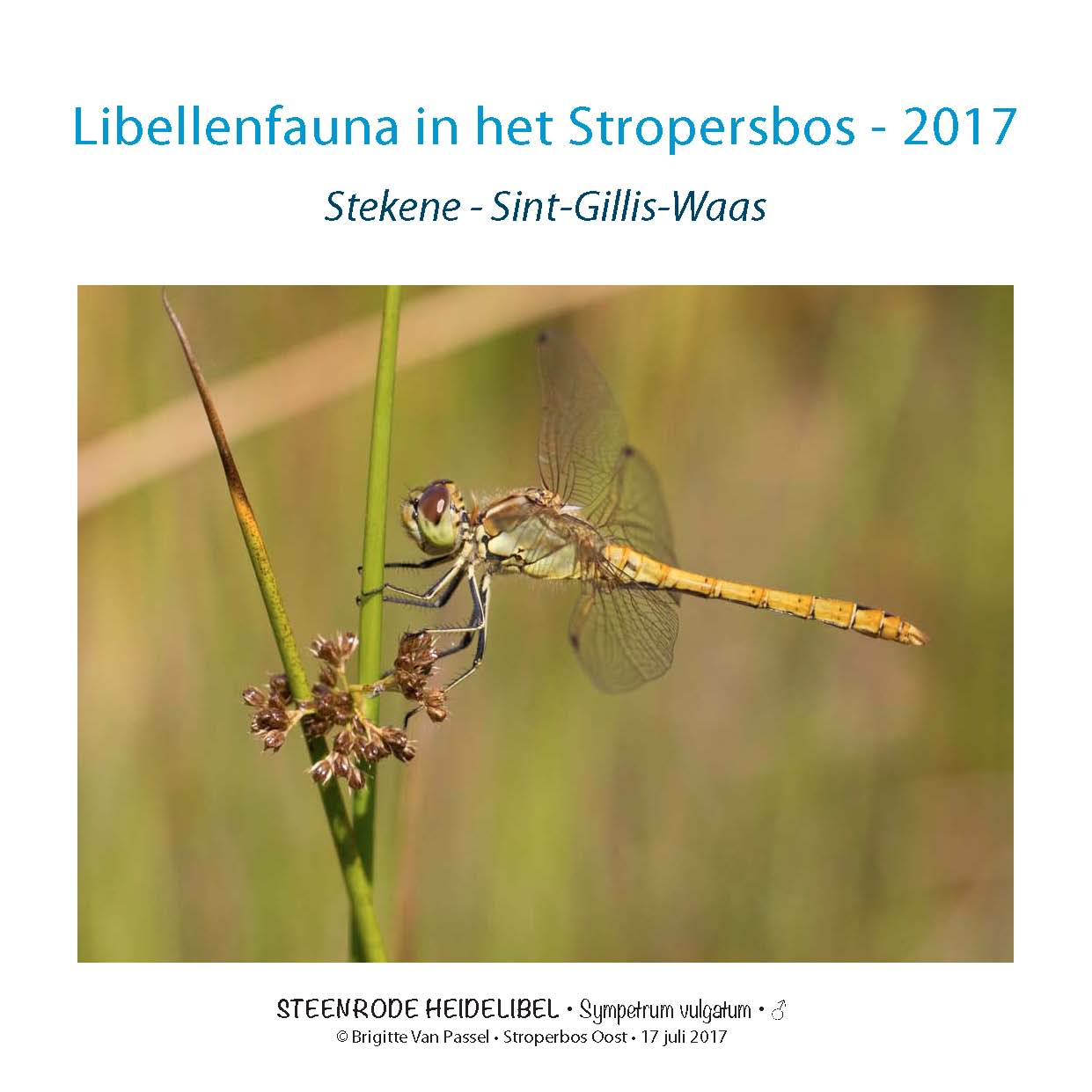 2017 Stropersbos