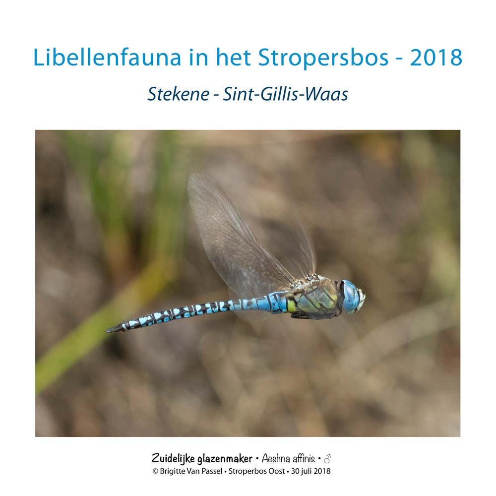 2018 Stropersbos 21x21